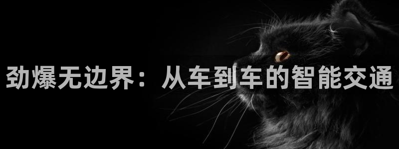 火凤直播nba：劲爆无边界：从车到车的智能交通
