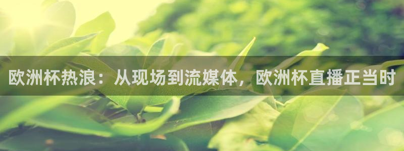 nba火凤直播：欧洲杯热浪：从现场到流媒体，欧洲杯直播正当时