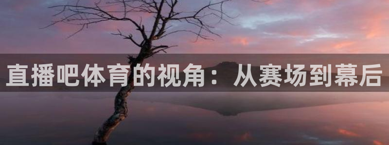 火凤免费观看体育直播：直播吧体育的视角：从赛场到幕后