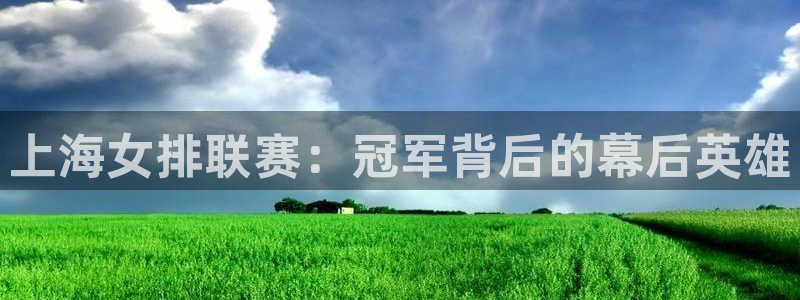 火凤斗球直播体育：上海女排联赛：冠军背后的幕后英雄